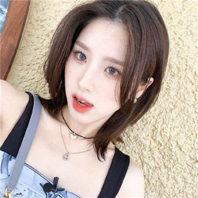 狗狗监护权